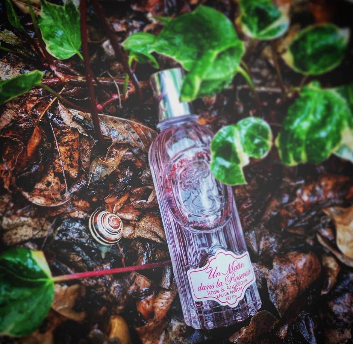 عطر ادکلن آن ماتین دان لا روزری ژان ان پرووانس - Un Matin Dans La Roseraie Jeanne en Provence - بررسی، قیمت و خرید