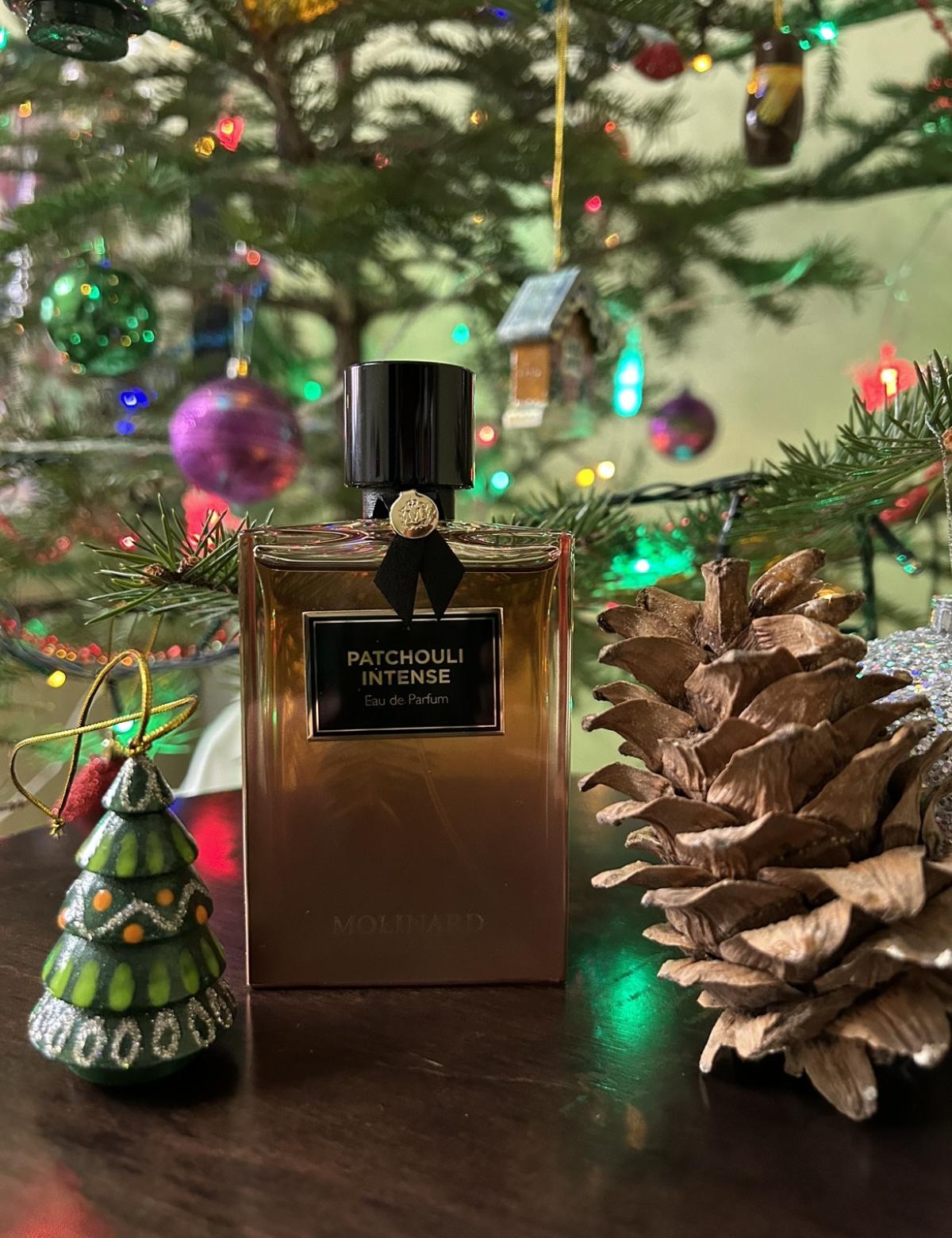 عطر ادکلن پَچولی اینتنس مولینارد - Patchouli Intense Molinard - بررسی، قیمت و خرید