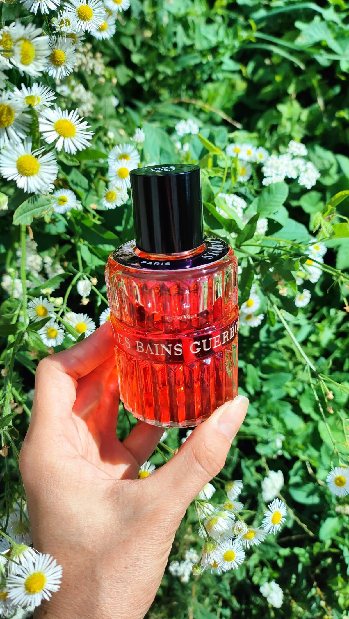 عطر ادکلن ناینته ناینته تو پورپل نایت لِه بَن گِربوا - 1992 Purple Night Les Bains Guerbois - بررسی، قیمت و خرید