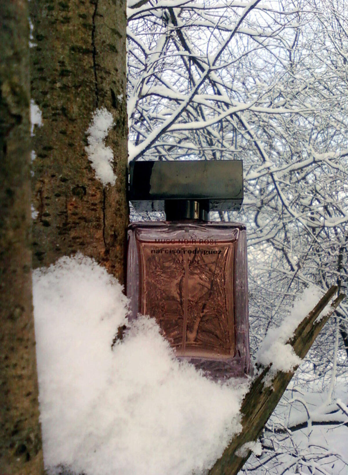 عطر ادکلن ماسک نویر رز فور هر نارسیسو رودریگز - Musc Noir Rose For Her Narciso Rodriguez - بررسی، قیمت و خرید