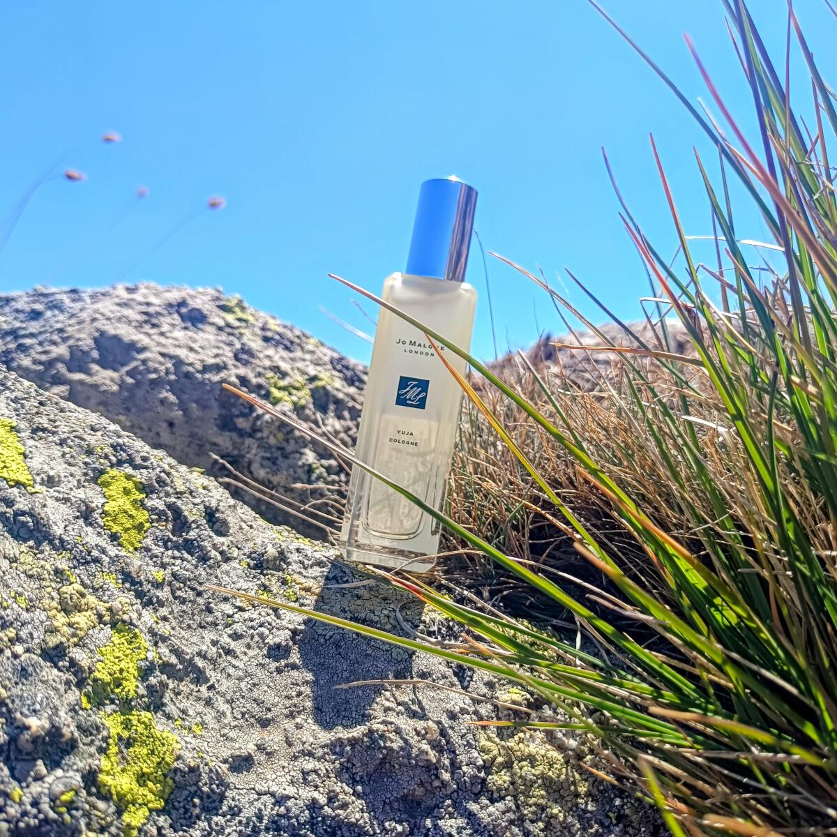 عطر ادکلن یوجا کلن جو مالون لندن - Yuja Cologne Jo Malone London - بررسی، قیمت و خرید