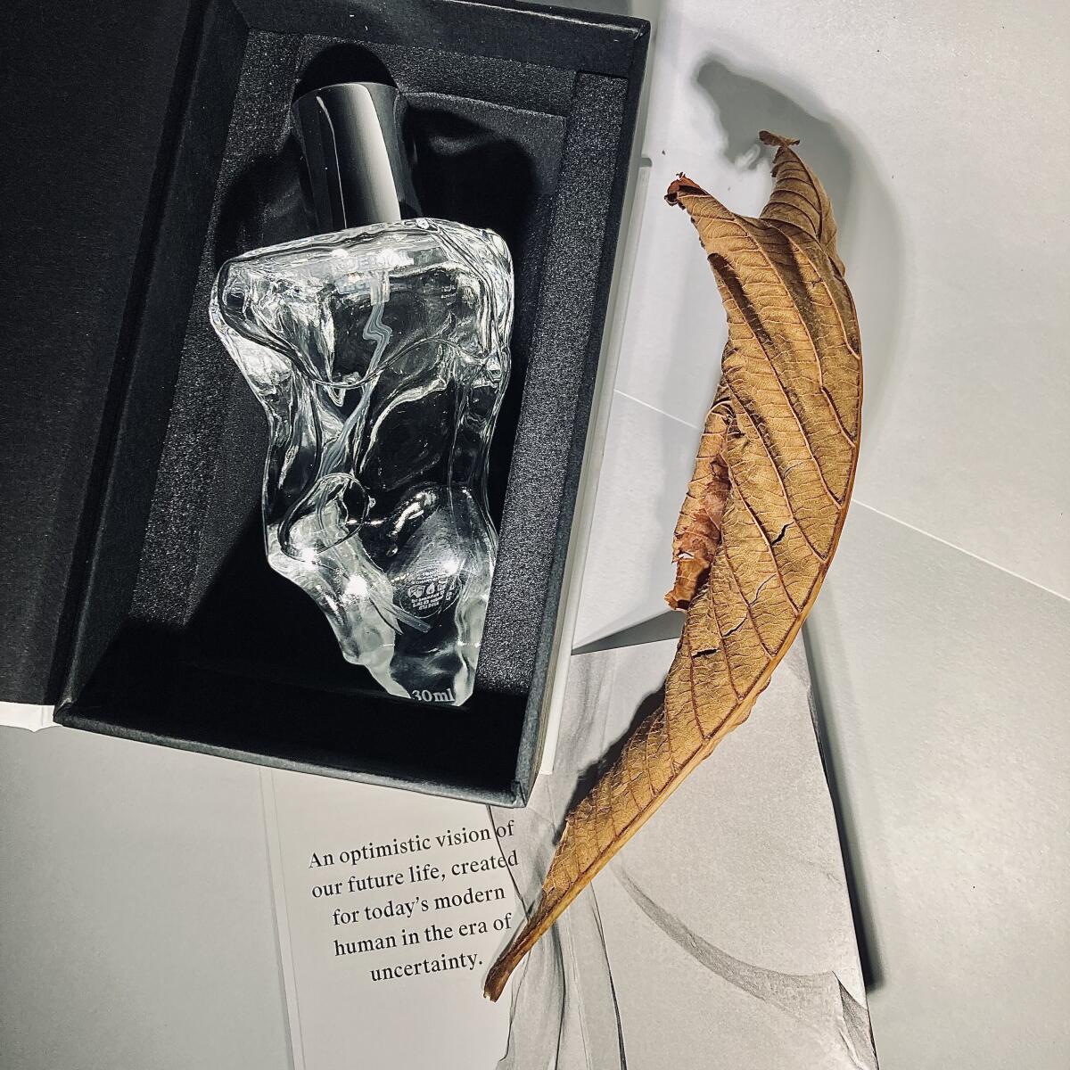عطر ادکلن نیاندرتال تم نئاندرتال - Neandertal Them Neandertal - بررسی، قیمت و خرید