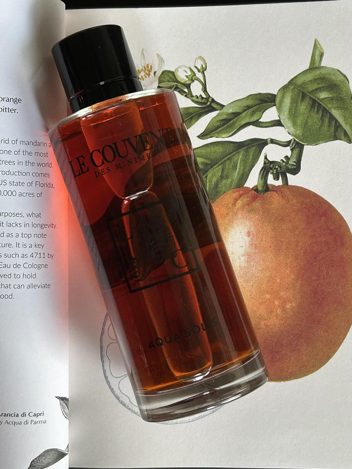 عطر ادکلن آکوا سولیس لو کوونت - Aqua Solis Le Couvent Maison de Parfum - بررسی، قیمت و خرید