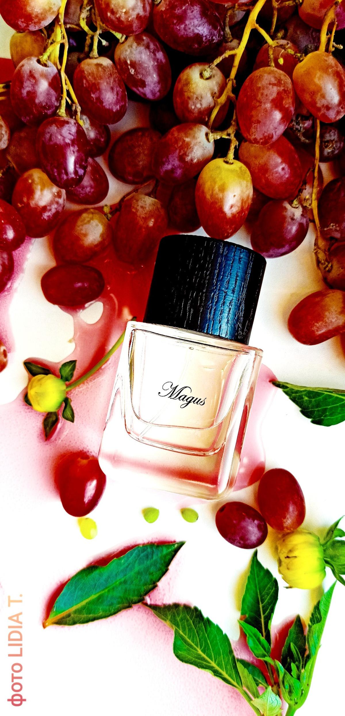 عطر ادکلن مگس لِ کُنت - Magus Les Contes - بررسی، قیمت و خرید