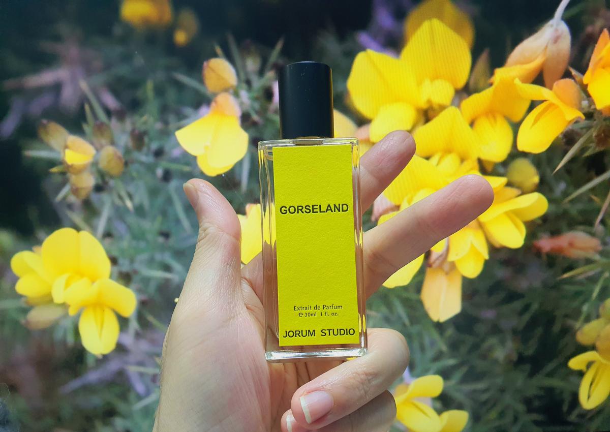 عطر ادکلن گورسلند جوروم استودیو - Gorseland Jorum Studio - بررسی، قیمت و خرید