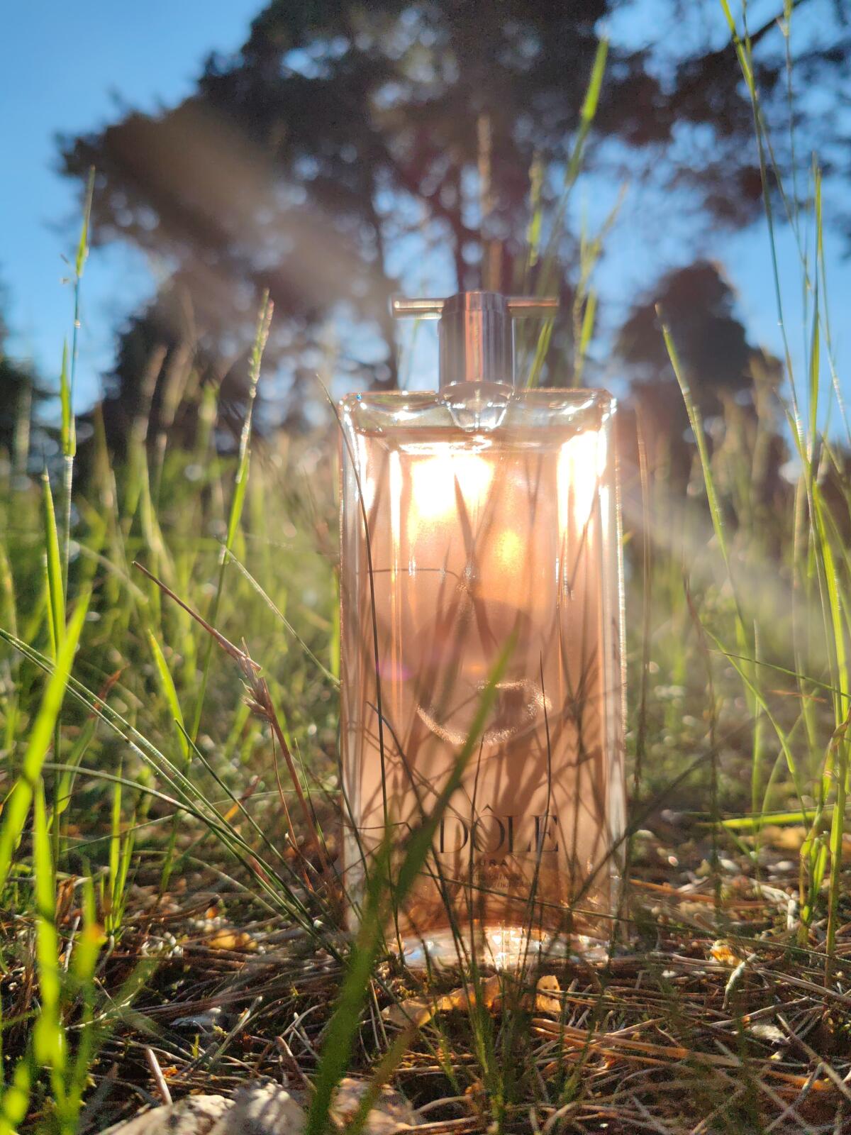 عطر ادکلن ایدول آرا لنکوم - Idôle Aura Lancôme - بررسی، قیمت و خرید