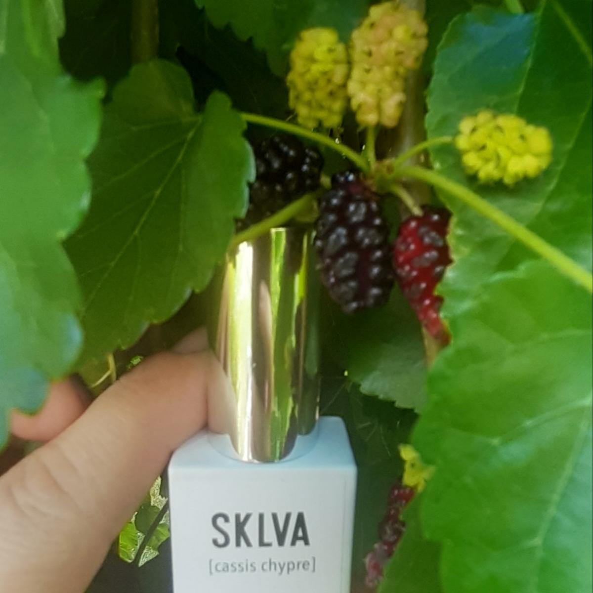عطر ادکلن کسسیس چیپر اسکلووا - [cassis chypre] SKLVA - بررسی، قیمت و خرید