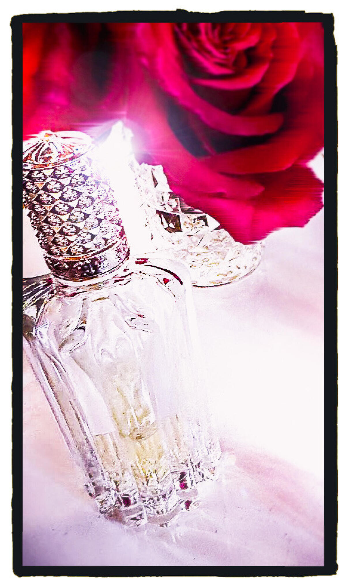 عطر ادکلن میراژز میراکل آو د رز پرادا - Mirages Miracle of the Rose Prada - بررسی، قیمت و خرید