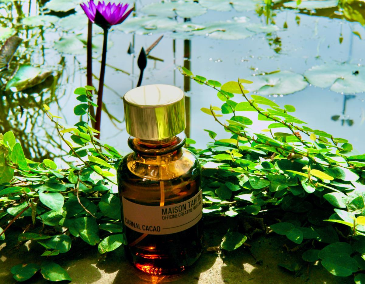 عطر ادکلن کارنال کاکائو میزون تهیته – آفیسین کریتیو پرفیومی - Carnal Cacao Maison Tahité – Officine Creative Profumi - بررسی، قیمت و خرید