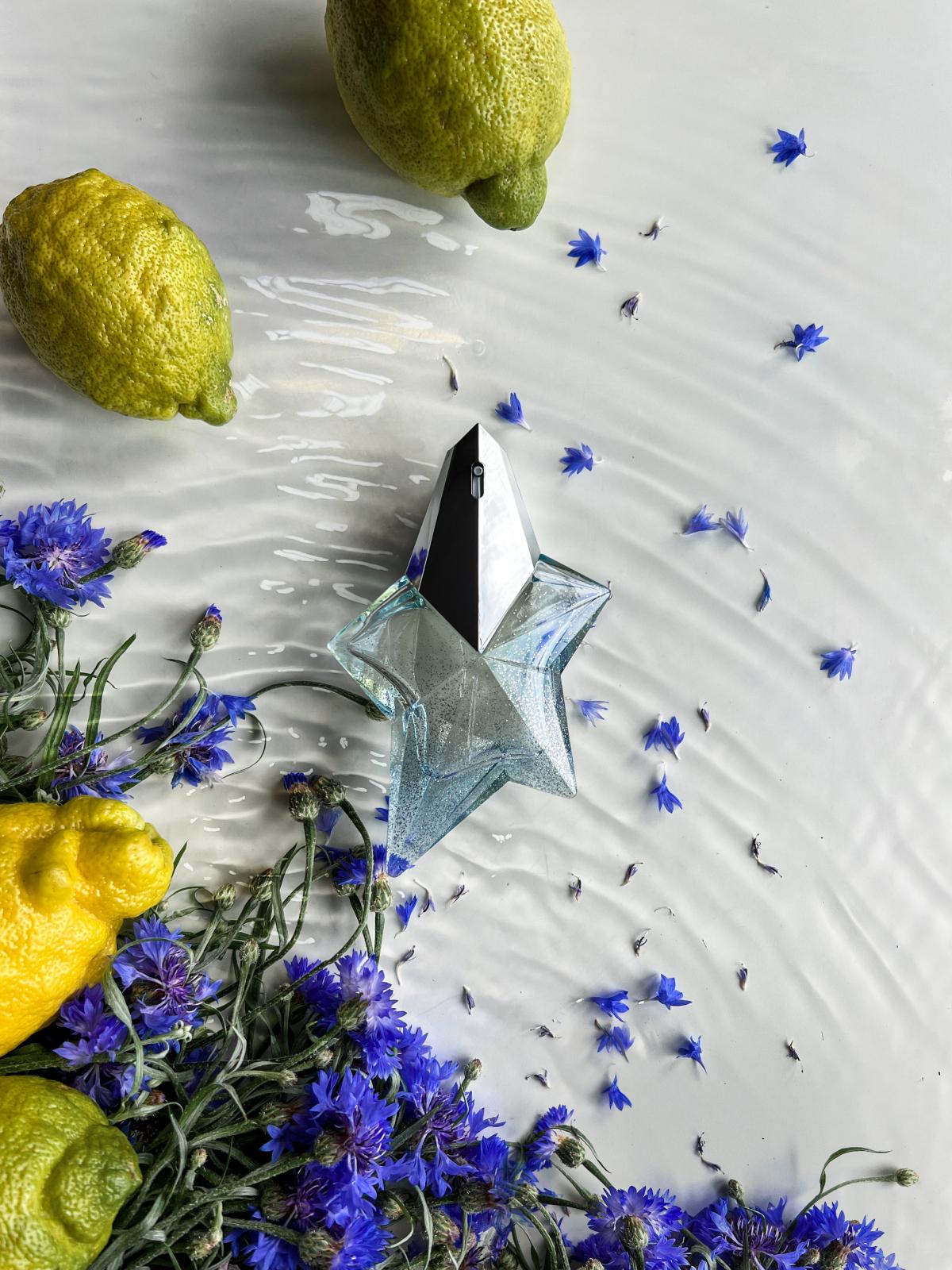 عطر ادکلن انجل آکوا شیک موگلر - Angel Aqua Chic Mugler - بررسی، قیمت و خرید