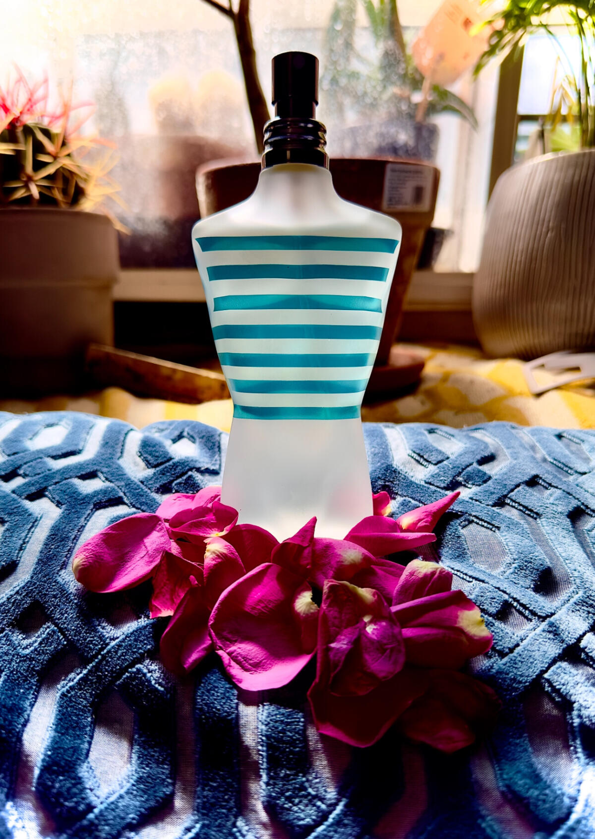 عطر ادکلن لبو مل ژان پل گوتیه - Le Beau Male Jean Paul Gaultier - بررسی، قیمت و خرید