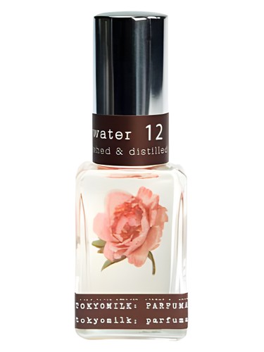 عطر ادکلن جین اند رزواتر توکیو میلک پرفیومری کیوریوسیت - Gin & Rosewater Tokyo Milk Parfumerie Curiosite - بررسی، قیمت و خرید