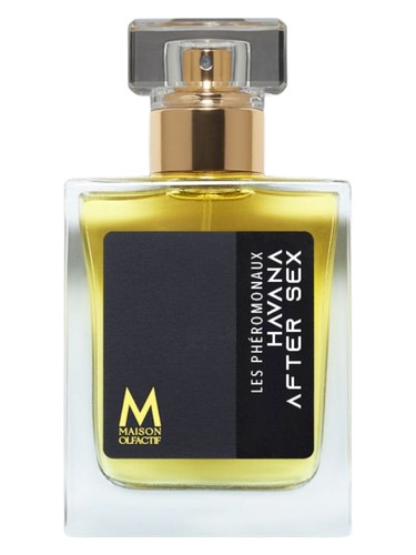 عطر ادکلن هاوانا افتر سک..س مِیزون اُلفَکتیف - Havana After Sex MAISON OLFACTIF - بررسی، قیمت و خرید