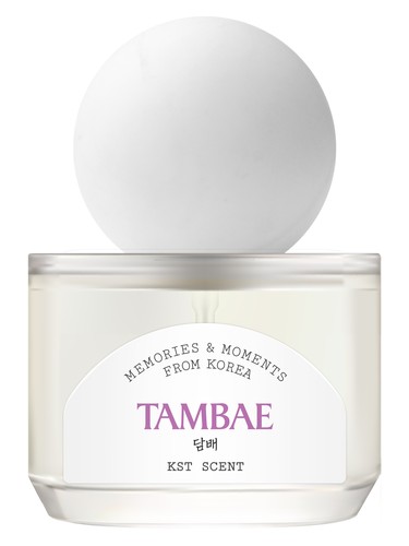 عطر ادکلن تمبه کی اس تی سنت - Tambae KST SCENT - بررسی، قیمت و خرید