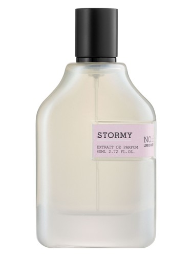 عطر ادکلن استورمی لرد آو هیستوری - Stormy Lord of History - بررسی، قیمت و خرید
