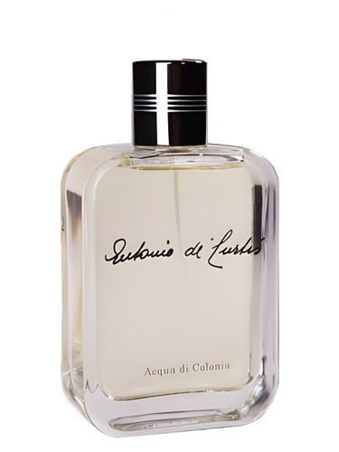 عطر ادکلن آنتونیو د کورتیس منسفیلد - Antonio De Curtis Mansfield - بررسی، قیمت و خرید