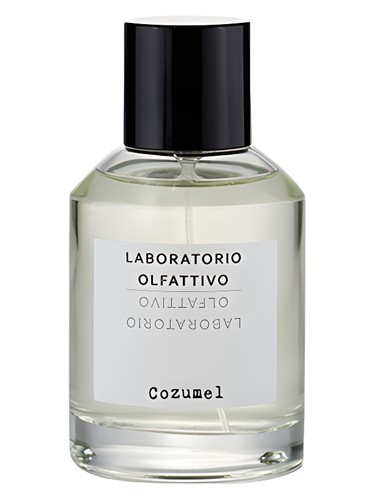 عطر ادکلن کوزومل لابوراتواریو الفاتیوو - Cozumel Laboratorio Olfattivo - بررسی، قیمت و خرید