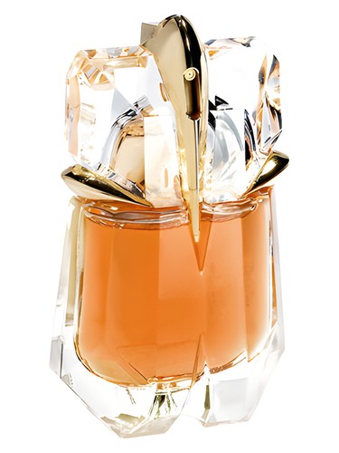 عطر ادکلن دی تِیست آو فریگرِنس اِیلیِن ماگلر - The Taste of Fragrance Alien Mugler - بررسی، قیمت و خرید