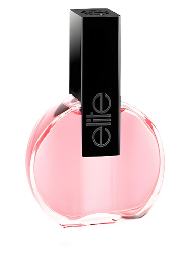 عطر ادکلن نیویورک میوز پرفیومز الیت - New York Muse Parfums Elite - بررسی، قیمت و خرید