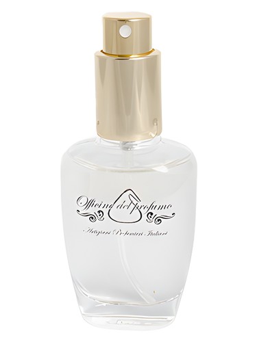 عطر ادکلن ماسک اوفیسین دل پرفیومو - Musk Officine del Profumo - بررسی، قیمت و خرید