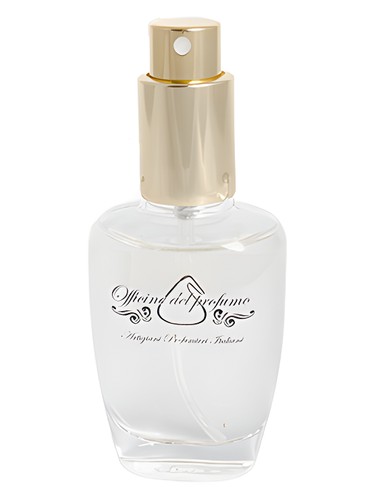 عطر ادکلن ماگتو دِلا چینکه تره اُفیسین دِل پُرفوُمو - Mugheto della Cinque Terre Officine del Profumo - بررسی، قیمت و خرید