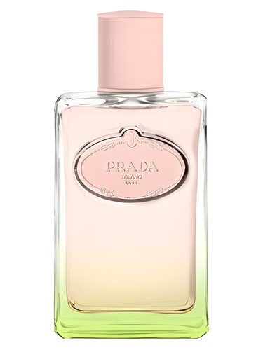 عطر ادکلن اینفیوژن دی آیریس لی او دی آیریس پِرادا - Infusion d'Iris L'Eau d'Iris Prada - بررسی، قیمت و خرید