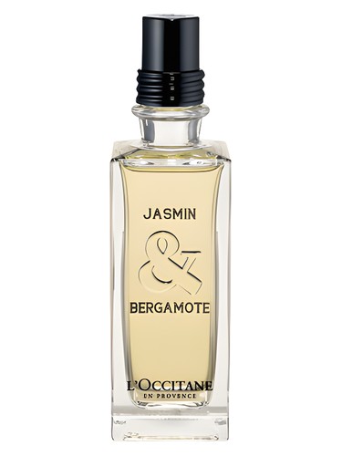 عطر ادکلن جاسمین اند برگاموت لوکستان - Jasmin & Bergamote L'Occitane en Provence - بررسی، قیمت و خرید