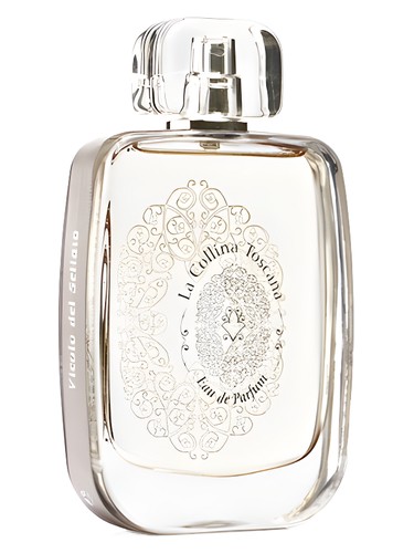 عطر ادکلن ویکولو دل سِلایو لا کولینا توکسانا - Vicolo Del Sellaio La Collina Toscana - بررسی، قیمت و خرید