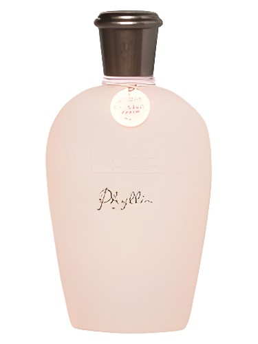 عطر ادکلن فیلیس پول اند بیر - Phyllis Pull & Bear - بررسی، قیمت و خرید