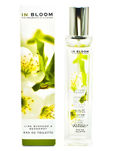 عطر ادکلن لایم بلاسوم اند برگاموت مارکس اند اسپنسر - Lime Blossom and Bergamot Marks & Spencer - بررسی، قیمت و خرید