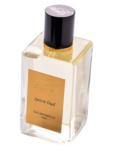عطر ادکلن اسپیریت عود کویین بی - Spirit Oud Queen B - بررسی، قیمت و خرید