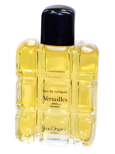 عطر ادکلن ورسا پورهوم ژان دسپره - Versailles Pour Homme Jean Desprez - بررسی، قیمت و خرید