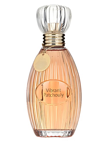 عطر ادکلن ویبرانت پاچولی جودیت ویلیامز - Vibrant Patchouly Judith Williams - بررسی، قیمت و خرید