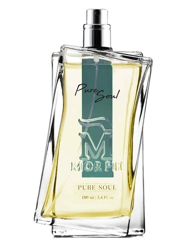 عطر ادکلن پیور سول مورف - Pure Soul Morph - بررسی، قیمت و خرید