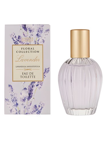 عطر ادکلن لاوندر مارکس اند اسپنسر - Lavender Marks & Spencer - بررسی، قیمت و خرید