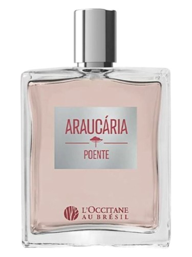 عطر ادکلن آراکاییا پوئِنتی لوکسیتان او برزیل - Araucária Poente L’Occitane Au Brésil - بررسی، قیمت و خرید