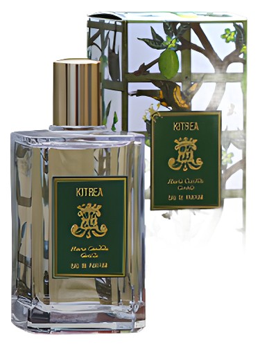 عطر ادکلن کتریا ماریا کاندیدا جنتیله - Kitrea Maria Candida Gentile - بررسی، قیمت و خرید