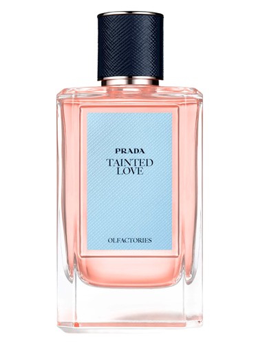 عطر ادکلن تینتد لاو پرادا - Tainted Love Prada - بررسی، قیمت و خرید