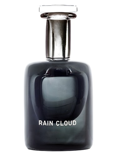 عطر ادکلن رین کلود پرفیومر اچ - Rain Cloud Perfumer H - بررسی، قیمت و خرید