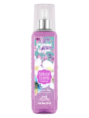 عطر ادکلن جسمین بلوم نچرال سنتس - Jasmine Bloom Natural Scents - بررسی، قیمت و خرید