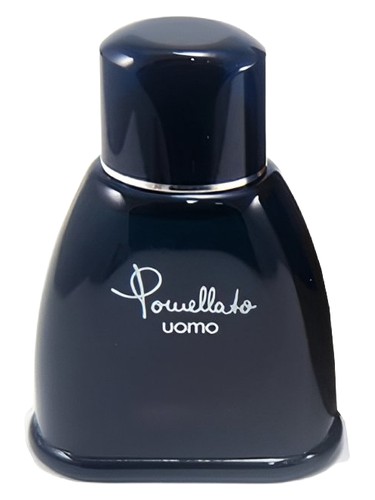 عطر ادکلن پوملاتو اومو پوملاتو - Pomellato Uomo Pomellato - بررسی، قیمت و خرید