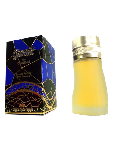 عطر ادکلن گاودی پرفیومز کودیبل - Gaudi Parfums Codibel - بررسی، قیمت و خرید