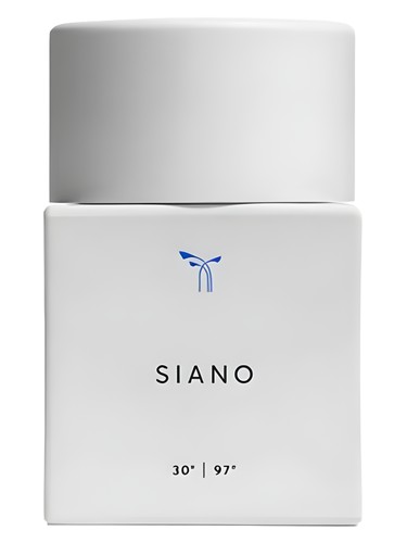 عطر ادکلن سیانو فلور - Siano Phlur - بررسی، قیمت و خرید