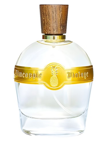 عطر ادکلن پایین اَپل وینتِج اینتِنس پرفیوم وینتج - Pineapple Vintage Intense Parfums Vintage - بررسی، قیمت و خرید
