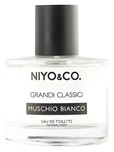 عطر ادکلن ماموشیو بیانکو نیکو - Muschio Bianco NIYO&CO - بررسی، قیمت و خرید
