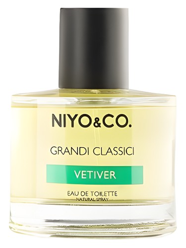 عطر ادکلن وتیور نیکو - Vetiver NIYO&CO - بررسی، قیمت و خرید