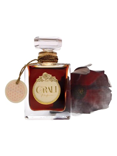 عطر ادکلن چاکلت اورالی پرفیوم - Chocolate Orali Perfume - بررسی، قیمت و خرید
