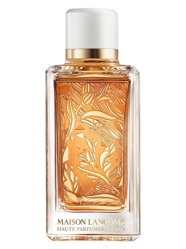 عطر ادکلن سانتال کاردامون لنکوم - Santal Kardamon Lancôme - بررسی، قیمت و خرید