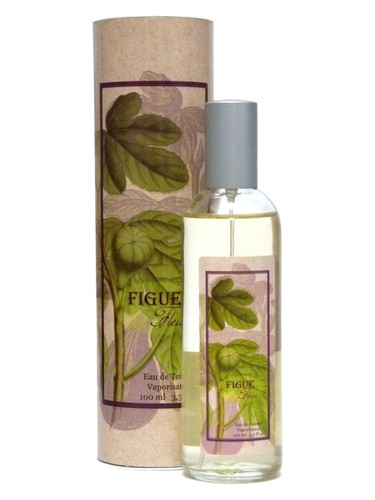 عطر ادکلن فیک فلور پرووانس اند نیچر - Figue Fleur Provence & Nature - بررسی، قیمت و خرید