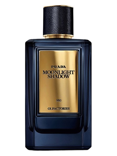 عطر ادکلن مایراجز مون‌لایت شدو پرادا - Mirages Moonlight Shadow Prada - بررسی، قیمت و خرید